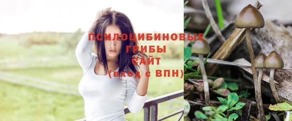 героин Алзамай