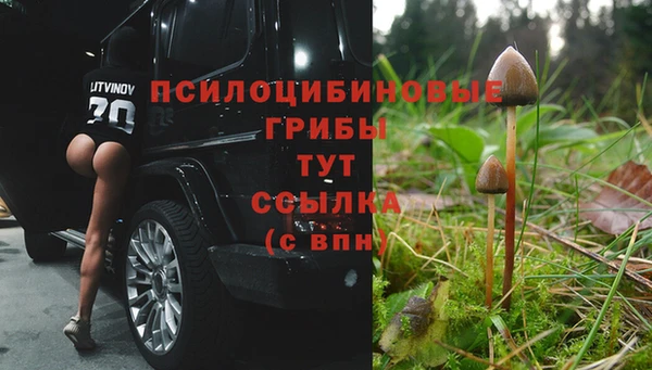героин Алзамай