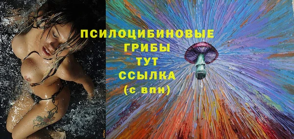 героин Алзамай