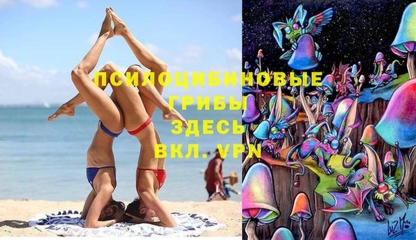 твердый Алексеевка
